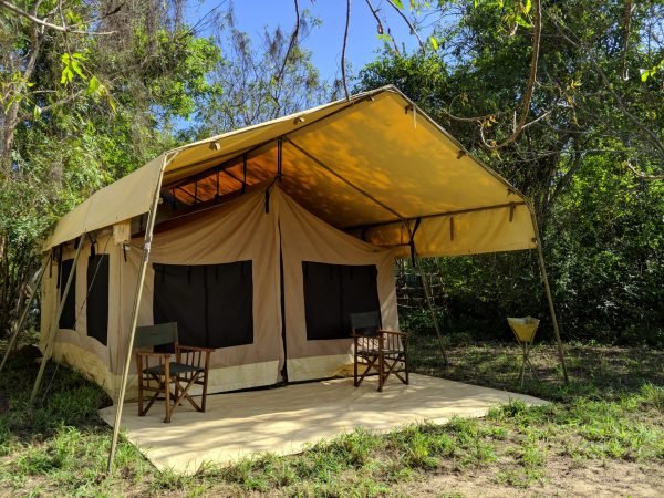 safari tent under canvas