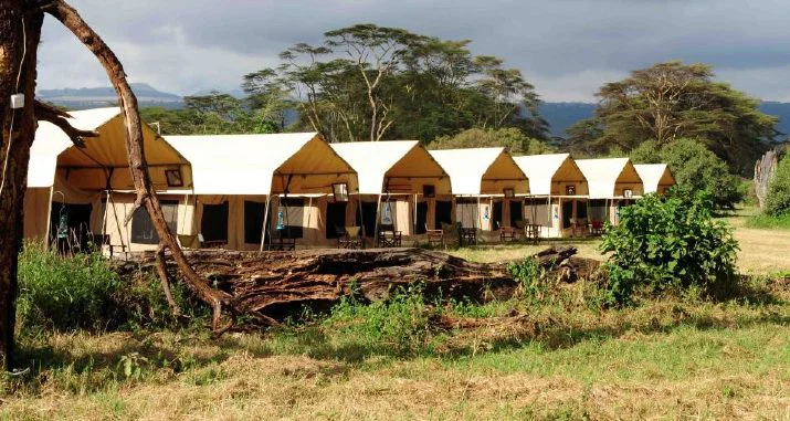 A row of Il Ngwesi safari tents under acacia trees