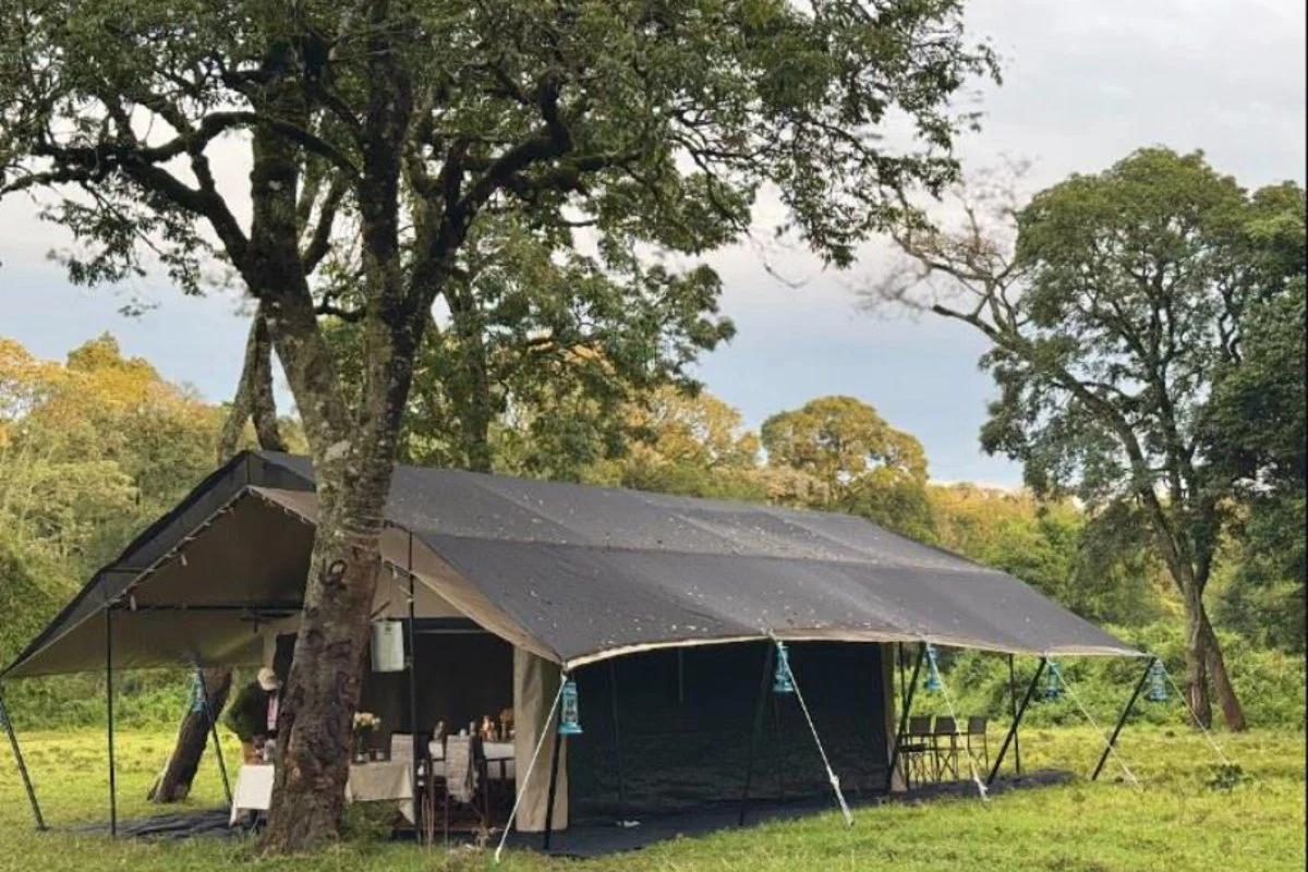 A Tarpo mess tent pitched under trees
