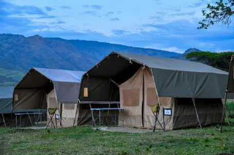 Mobile Camping