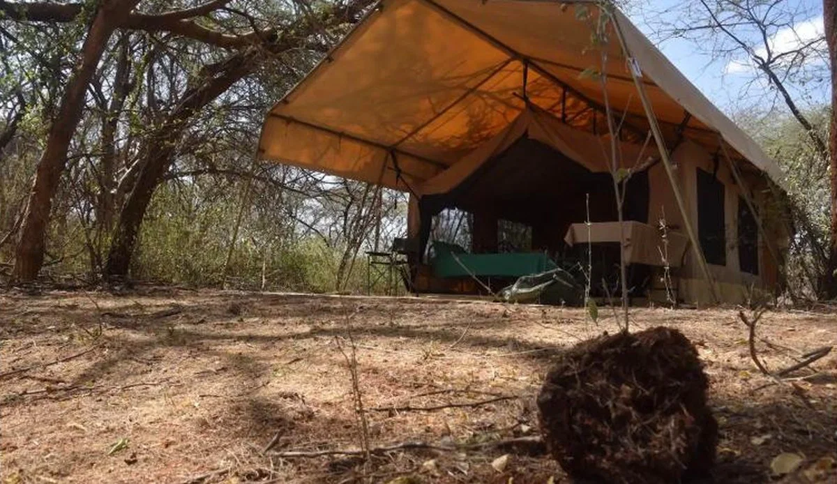 Exclusive mobile safari camp — a Tarpo tent pitched under acacias in the bush